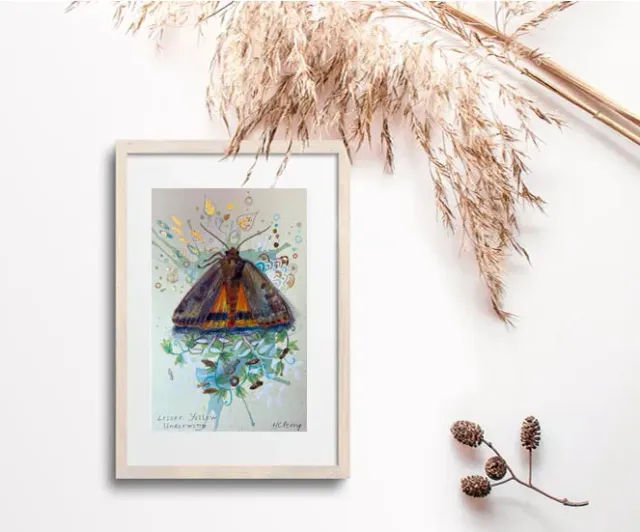 Helena Perry Lesser Yellow Underwing miniature 8,5x13,5