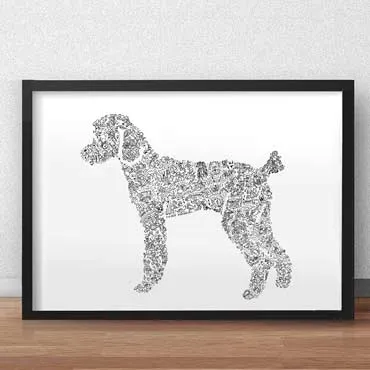 DrawInside Poodle affiche 20x20 caniche