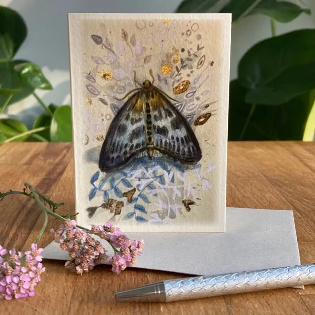 Helena Perry Moth cartes de vœux A7 lot de 5 papillons