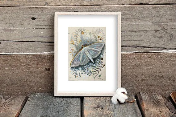 Helena Perry Jasmine Moth miniature aquarelle non encadrée