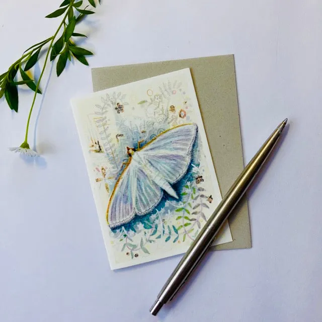 Helena Perry A7 Moth carte papillon petit format lot Cinnabar
