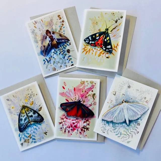 Helena Perry Moth cartes de vœux A7 lot de 5 papillons