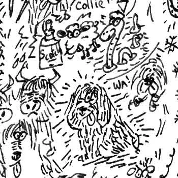 DrawInside Bearded Collie affiche A4 21x30 cm race Écosse